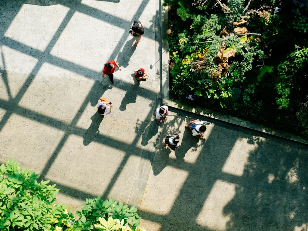 Overhead view of people walking across a sunlit courtyard beside a lush green wall